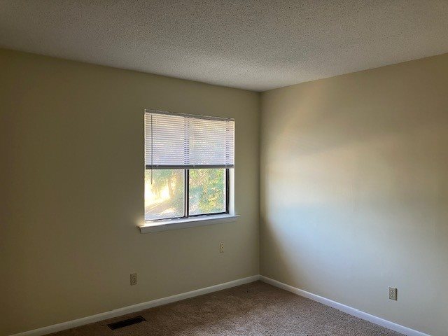 Gallery Photo 4